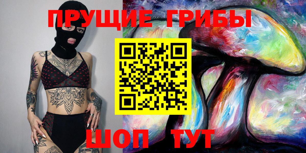 Псилоцибиновые грибы Cubensis Гусев