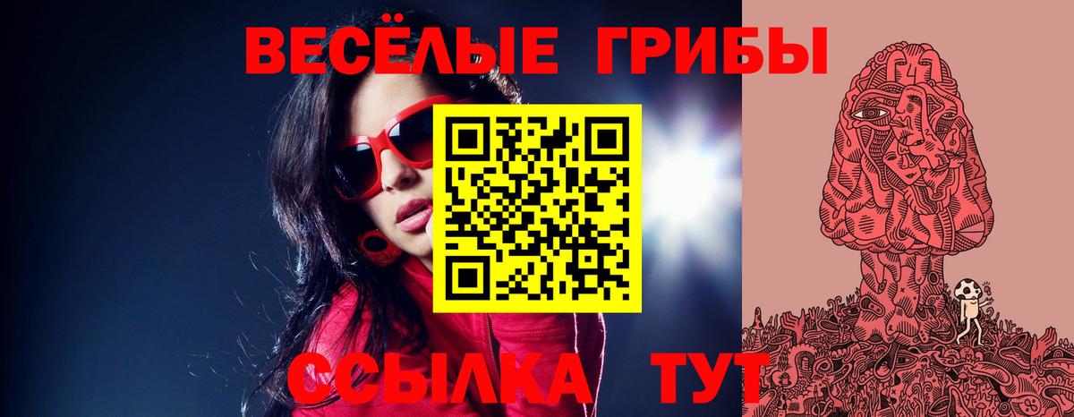 магазин продажи наркотиков  Галлюциногенные грибы мухоморы  Вход с VPN  Гусев 