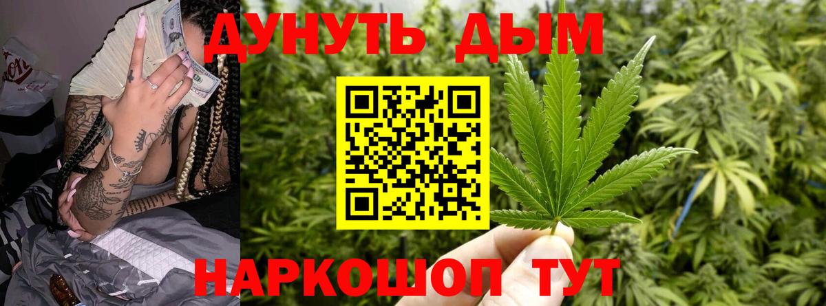 Бошки марихуана сатива Гусев
